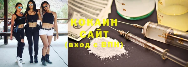 прущая мука Ельня