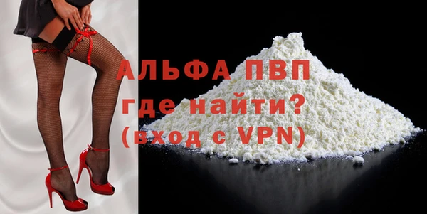 прущие грибы Елабуга