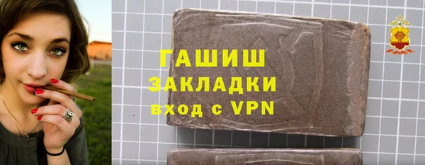прущие грибы Елабуга