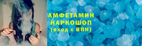 прущие грибы Елабуга