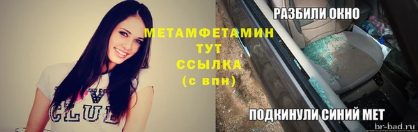 прущие грибы Елабуга