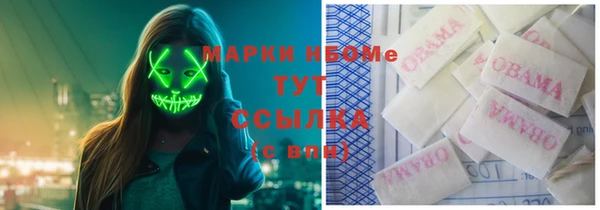 прущая мука Ельня