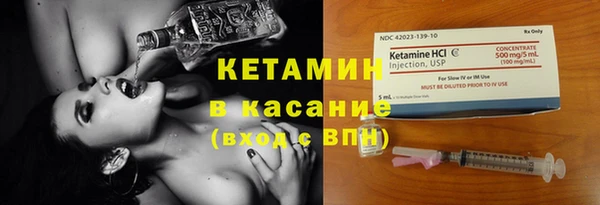 прущие грибы Елабуга