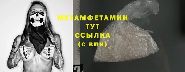 прущие грибы Елабуга
