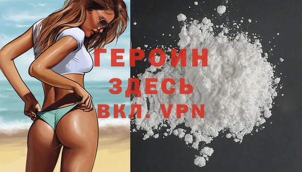 прущие грибы Елабуга
