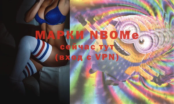 прущие грибы Елабуга