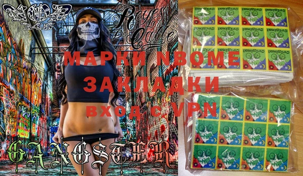 прущие грибы Елабуга