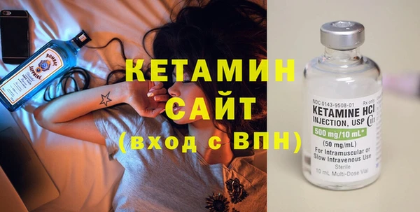 прущие грибы Елабуга