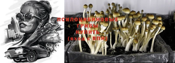 прущая мука Ельня