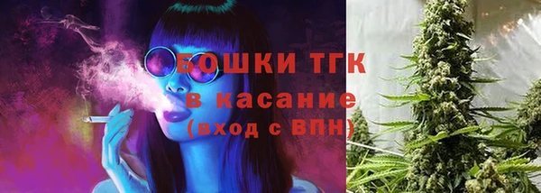 прущая мука Ельня