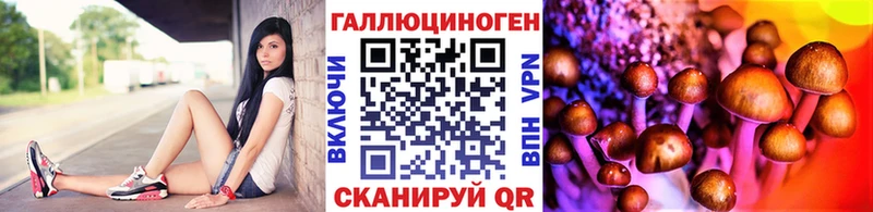 Купить  Петрозаводск  Псилоцибиновые грибы GOLDEN TEACHER 