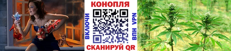 Купить закладки  Петрозаводск  Марихуана White Widow 